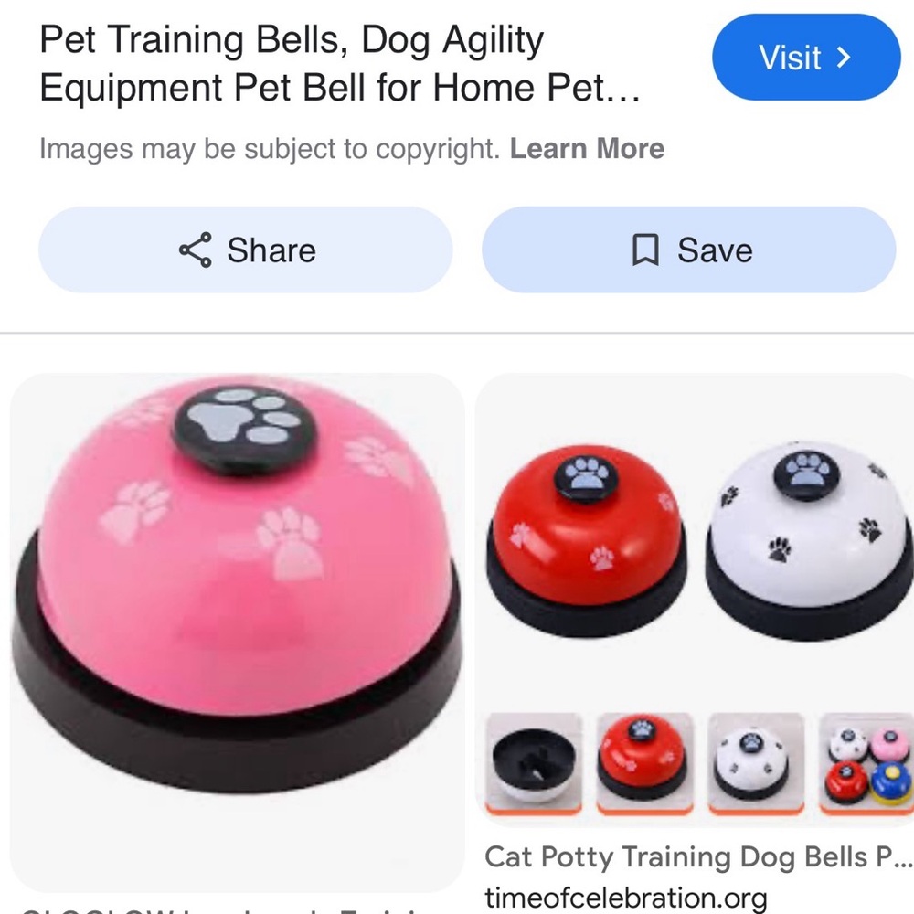 🐕🐕🦺🐩 Red Dog Training Bell with Paw Print - Picture 11 of 11